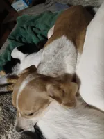 processed/507d22f9-3d33-441c-8382-19aa78ac9944/listing/4dcbfb96-ac4f-4329-8968-14090ee5cbc9/6f8b1bf9-ae6c-4599-8f9d-30b75a4b7e41