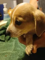 processed/507d22f9-3d33-441c-8382-19aa78ac9944/listing/4dcbfb96-ac4f-4329-8968-14090ee5cbc9/f0fc03a4-dd5b-4ec3-81cb-01cecb34b462