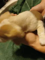 processed/507d22f9-3d33-441c-8382-19aa78ac9944/listing/4dcbfb96-ac4f-4329-8968-14090ee5cbc9/f2ff1b29-1f7e-4b30-b29f-b027d15ecf01