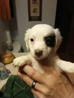 processed/507d22f9-3d33-441c-8382-19aa78ac9944/listing/7f264189-efb4-4c62-b4fe-67d2fb9c5371/393832e7-311f-4049-8eb2-7f98021f6a59