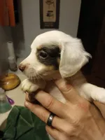 processed/507d22f9-3d33-441c-8382-19aa78ac9944/listing/7f264189-efb4-4c62-b4fe-67d2fb9c5371/bb348dab-3e51-45f0-9bda-465913532c90