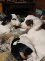 processed/507d22f9-3d33-441c-8382-19aa78ac9944/listing/7f264189-efb4-4c62-b4fe-67d2fb9c5371/c3f0f5a2-487d-4f25-b835-0b508002a1d0