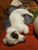 processed/507d22f9-3d33-441c-8382-19aa78ac9944/listing/7f264189-efb4-4c62-b4fe-67d2fb9c5371/e55dfa3f-53e2-4b02-90f3-4662d87a135f