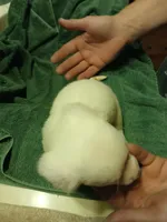 processed/507d22f9-3d33-441c-8382-19aa78ac9944/listing/7f264189-efb4-4c62-b4fe-67d2fb9c5371/fedd6b47-447a-4931-a23b-6e6106a85e93