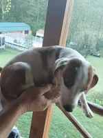 processed/507d22f9-3d33-441c-8382-19aa78ac9944/listing/f0cff151-e796-424d-9526-54392e64d8c3/1aaae2a6-0965-4426-8107-903f6ef379a6