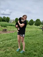 Little boy, a male Bernese Mountain Dog for sale in Troy, VT – 1 of 4