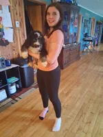 Squeaker boy, a male Bernedoodle for sale in Troy, VT – 2 of 3