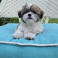 processed/5087ce8d-efe8-47e9-a789-06532e43dade/facility/24dfe0f5-4e3a-4833-8fe6-63dccaad36e4