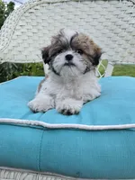 processed/5087ce8d-efe8-47e9-a789-06532e43dade/facility/24dfe0f5-4e3a-4833-8fe6-63dccaad36e4