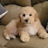 processed/5087ce8d-efe8-47e9-a789-06532e43dade/facility/3e65bc1e-e164-4131-af87-7ff96144ee58