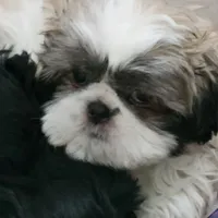 processed/5087ce8d-efe8-47e9-a789-06532e43dade/facility/41c29310-4c95-4808-8464-b5da75600133