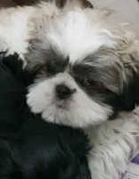 processed/5087ce8d-efe8-47e9-a789-06532e43dade/facility/41c29310-4c95-4808-8464-b5da75600133