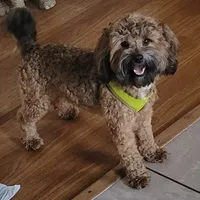 processed/5087ce8d-efe8-47e9-a789-06532e43dade/facility/ae80074c-b1e0-438b-bd87-14fc619d33e0