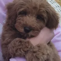 processed/5087ce8d-efe8-47e9-a789-06532e43dade/facility/be701e2a-8834-49c8-867c-057560ac8f09