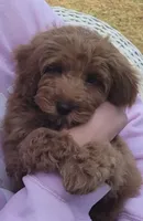 processed/5087ce8d-efe8-47e9-a789-06532e43dade/facility/be701e2a-8834-49c8-867c-057560ac8f09