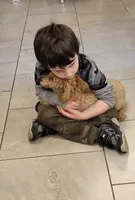 processed/5087ce8d-efe8-47e9-a789-06532e43dade/facility/d51f4039-007a-4869-bee9-5887345baf6a