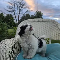 processed/5087ce8d-efe8-47e9-a789-06532e43dade/facility/e2010cbf-df49-4596-ac3a-9aee83720a2e