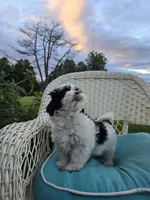 processed/5087ce8d-efe8-47e9-a789-06532e43dade/facility/e2010cbf-df49-4596-ac3a-9aee83720a2e