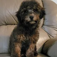 processed/5087ce8d-efe8-47e9-a789-06532e43dade/facility/fe2411f6-72b6-4ce7-b476-faa9f8c14ad6