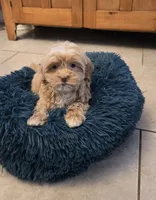 processed/5087ce8d-efe8-47e9-a789-06532e43dade/listing/4ed5f6fe-a88f-4608-ab71-0fb4d15e3565/3449f8bc-d863-42d7-90dd-4076bac4c59b