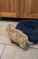 processed/5087ce8d-efe8-47e9-a789-06532e43dade/listing/4ed5f6fe-a88f-4608-ab71-0fb4d15e3565/7cf913bf-9f82-4efc-a744-d33f90b783bb