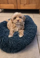 processed/5087ce8d-efe8-47e9-a789-06532e43dade/listing/4ed5f6fe-a88f-4608-ab71-0fb4d15e3565/ae2aaef5-d11f-4926-a035-3baead926f1d