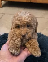 processed/5087ce8d-efe8-47e9-a789-06532e43dade/listing/51bfff84-4515-483a-bbef-3eb8c669424b/45684682-530b-49d2-9334-b7b3e192a2ac