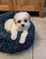 processed/5087ce8d-efe8-47e9-a789-06532e43dade/listing/e6bd9315-de09-4a04-8435-aaf7c28e9861/2317f3a9-5074-4cda-9104-e01dd177aa07