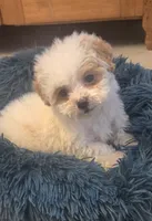 processed/5087ce8d-efe8-47e9-a789-06532e43dade/listing/e6bd9315-de09-4a04-8435-aaf7c28e9861/f0abeab2-6002-4fe0-8933-92e155e2c5c0