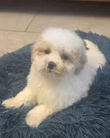 processed/5087ce8d-efe8-47e9-a789-06532e43dade/listing/ead092ae-707a-4bf0-bdf9-c058890b28f6/032cdd34-7dfb-4be8-abe3-41b548664581