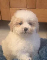 processed/5087ce8d-efe8-47e9-a789-06532e43dade/listing/ead092ae-707a-4bf0-bdf9-c058890b28f6/17332d80-5bf0-4ce6-9819-e716504a8c52