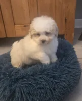 processed/5087ce8d-efe8-47e9-a789-06532e43dade/listing/ead092ae-707a-4bf0-bdf9-c058890b28f6/38acf86d-2b86-4b02-859c-c828b42fb101