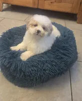 processed/5087ce8d-efe8-47e9-a789-06532e43dade/listing/ead092ae-707a-4bf0-bdf9-c058890b28f6/a2fc1811-0f2e-4542-bbff-e7bf3474c5e1