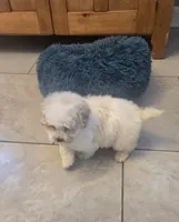 processed/5087ce8d-efe8-47e9-a789-06532e43dade/listing/ead092ae-707a-4bf0-bdf9-c058890b28f6/a8f239d4-fe7c-476c-ab6a-b88f72311b5b