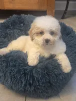 processed/5087ce8d-efe8-47e9-a789-06532e43dade/listing/ead092ae-707a-4bf0-bdf9-c058890b28f6/d09a9801-c6f1-4418-9875-5354c687936d