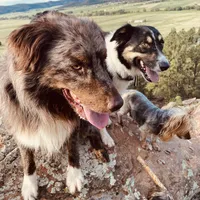 processed/509a0961-12f4-45a8-83dc-c03962a5d214/facility/5c6d7753-d784-45e2-91f9-9368c928f31c