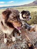 processed/509a0961-12f4-45a8-83dc-c03962a5d214/facility/5c6d7753-d784-45e2-91f9-9368c928f31c