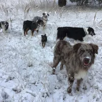 processed/509a0961-12f4-45a8-83dc-c03962a5d214/facility/87622da7-68f9-404d-bcb4-f7a20b05f1c0