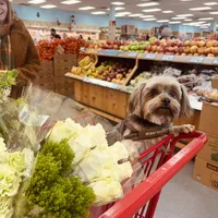 processed/509a0961-12f4-45a8-83dc-c03962a5d214/facility/8a9ed499-24dc-407b-ad17-e6b63eb07b2c