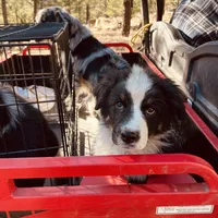 processed/509a0961-12f4-45a8-83dc-c03962a5d214/facility/9f9c4008-88a1-4f4e-b474-c994018acf57