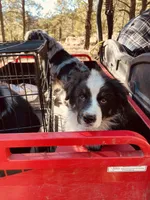 processed/509a0961-12f4-45a8-83dc-c03962a5d214/facility/9f9c4008-88a1-4f4e-b474-c994018acf57