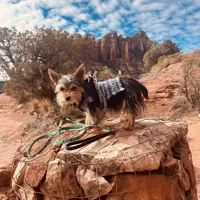 processed/509a0961-12f4-45a8-83dc-c03962a5d214/facility/b0c6f7dc-591a-47c3-b4c3-36da998c01d7