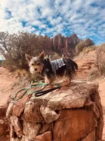 processed/509a0961-12f4-45a8-83dc-c03962a5d214/facility/b0c6f7dc-591a-47c3-b4c3-36da998c01d7