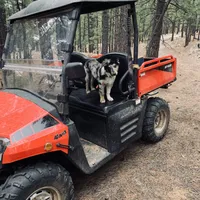 Whitney Hill Mitzie, a female Australian Shepherd for sale in Mora, NM – Photo 5 of 6