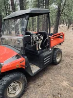 Whitney Hill Mitzie, a female Australian Shepherd for sale in Mora, NM – Photo 5 of 6