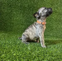 processed/509a7dc3-f2a7-4f5e-b9a5-ce61b90977cf/listing/2f3cc9a8-6eec-4d60-93db-e01a04a4c285/04c5398a-51da-47cc-a70b-0dae35692fca