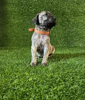 processed/509a7dc3-f2a7-4f5e-b9a5-ce61b90977cf/listing/2f3cc9a8-6eec-4d60-93db-e01a04a4c285/e8290b21-06fb-4e61-932b-d83e953c0cff