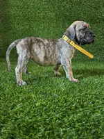 processed/509a7dc3-f2a7-4f5e-b9a5-ce61b90977cf/listing/58553c36-2055-46a6-b3be-b091e4991d57/5df3f717-782a-4e1d-985b-d4a714468756