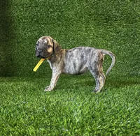 processed/509a7dc3-f2a7-4f5e-b9a5-ce61b90977cf/listing/58553c36-2055-46a6-b3be-b091e4991d57/ea9623e6-70d3-4c73-9fa3-3cb45c46ef9c