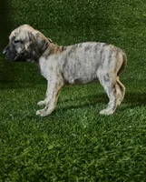 processed/509a7dc3-f2a7-4f5e-b9a5-ce61b90977cf/listing/6f6c7c79-3d81-41e8-a27d-68e2e5a01d5f/af353dbd-9fc1-4d83-93e7-814f68be4912